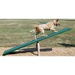 A Dog Walking up the Teeter Totter (Natural Colors) 