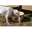 A Dog Drinking water from the Dog Drinking Station 