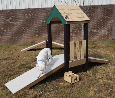 A Dog Playing in the Pup Playhouse 
