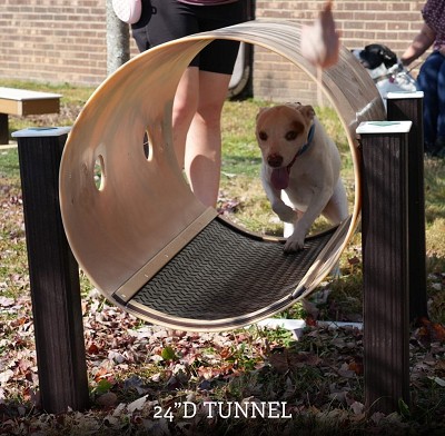 A Dog Playing in the Toto Tunnel 