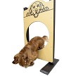 A Dog Playing in the Single Hound Hoop 