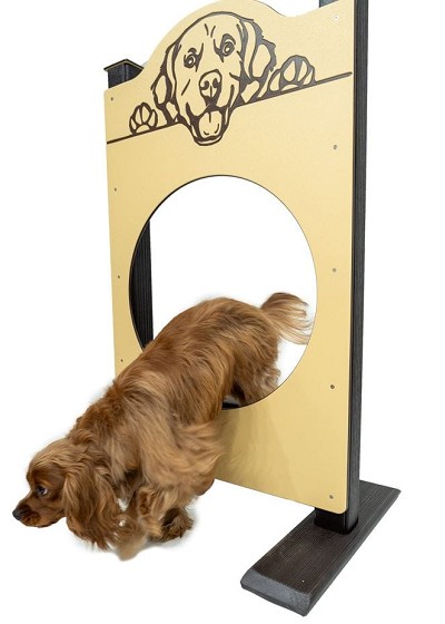 A Dog Playing in the Single Hound Hoop 