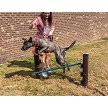 A Dog Jumping over the Pup Jump 