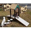 Two Dogs Playing in the Pup Playhouse 