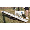 A Dog Walking Down the Rover Rocker 