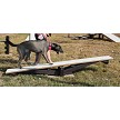 A Dog Walking up the Rover Rocker 