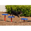 A Dog Jumping From a Higher Pod to a Lower One (Playful Colors, Set of 3) 
