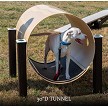 A Dog Playing in the 30" D Toto Tunnel 